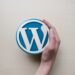 Pushpa WordPress theme thumbnail