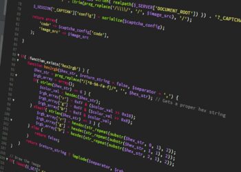 wordpress function image