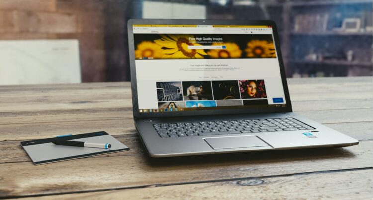 freedom WordPress theme