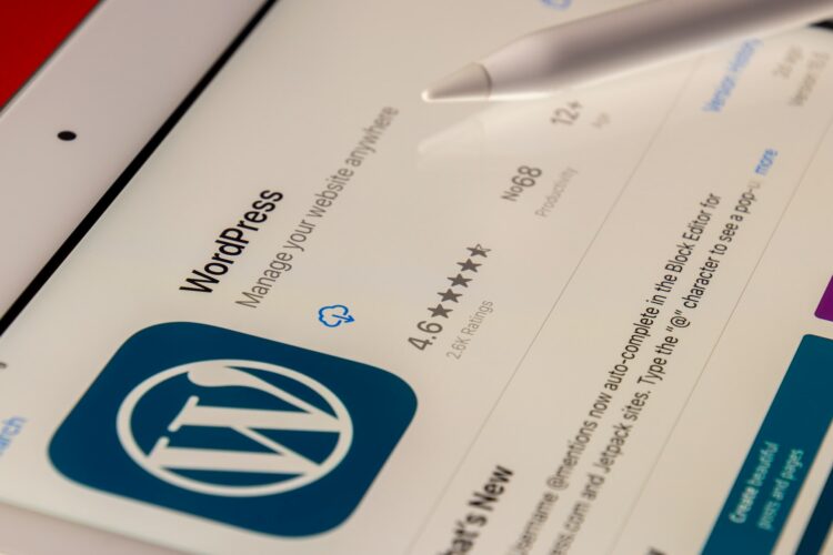 iconic one wordpress theme
