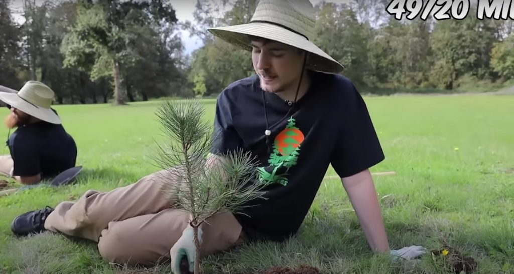 Mr beast planting trees