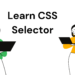 Learn CSS Selector