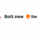 Lovable vs Base44 vs Bolt